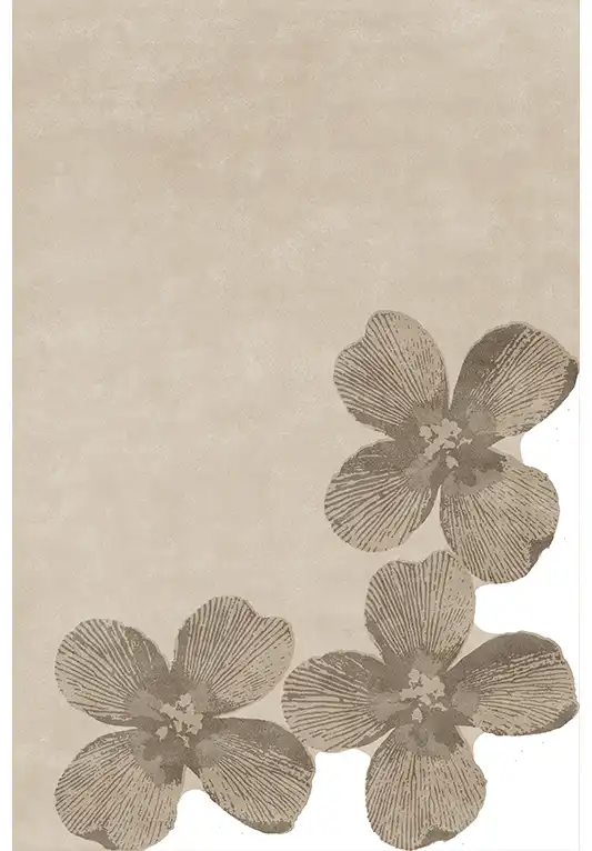 Nua